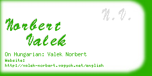 norbert valek business card